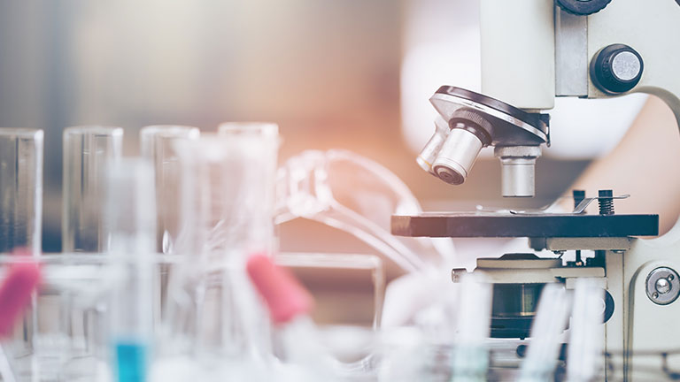 IFT Short Course: Food Science for the Non Food Scientist