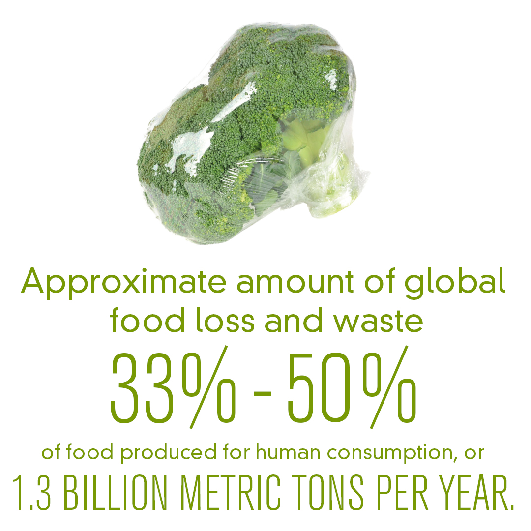 Global Food Waste